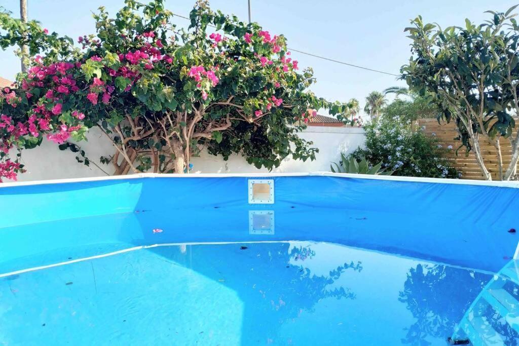 Apartamento Privado Con Jardin, Piscina Elevada Y Bbq Chiclana de la Frontera Eksteriør bilde